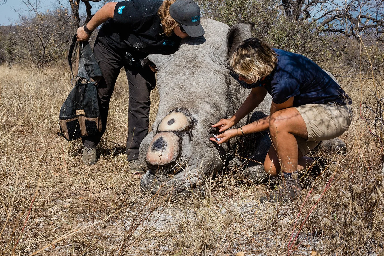 Horn Trimming experience — RHINO REVOLUTION